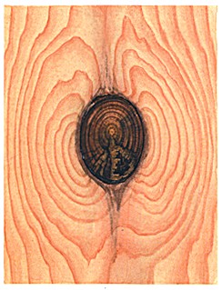 гнилой сучок2.jpeg гнилой сучок2.jpeg